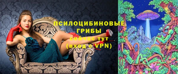 COCAINE Богданович