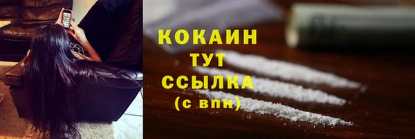 стаф Богородицк