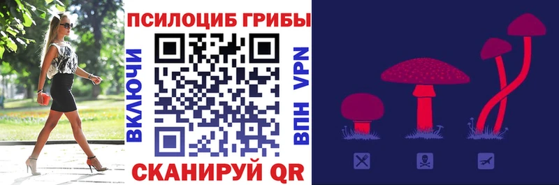 Галлюциногенные грибы прущие грибы  Бор 